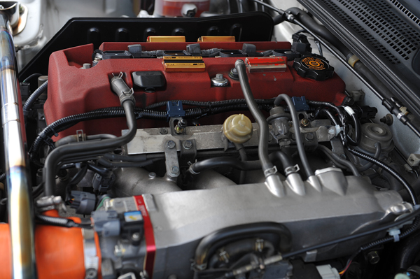 141029 kuma 2 DSC_7547.jpg